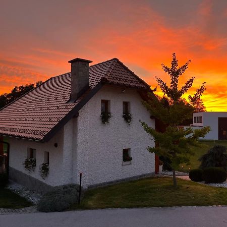 Holiday Home Dobrotin Vojnik المظهر الخارجي الصورة