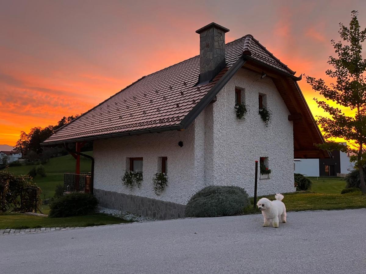 Holiday Home Dobrotin Vojnik المظهر الخارجي الصورة