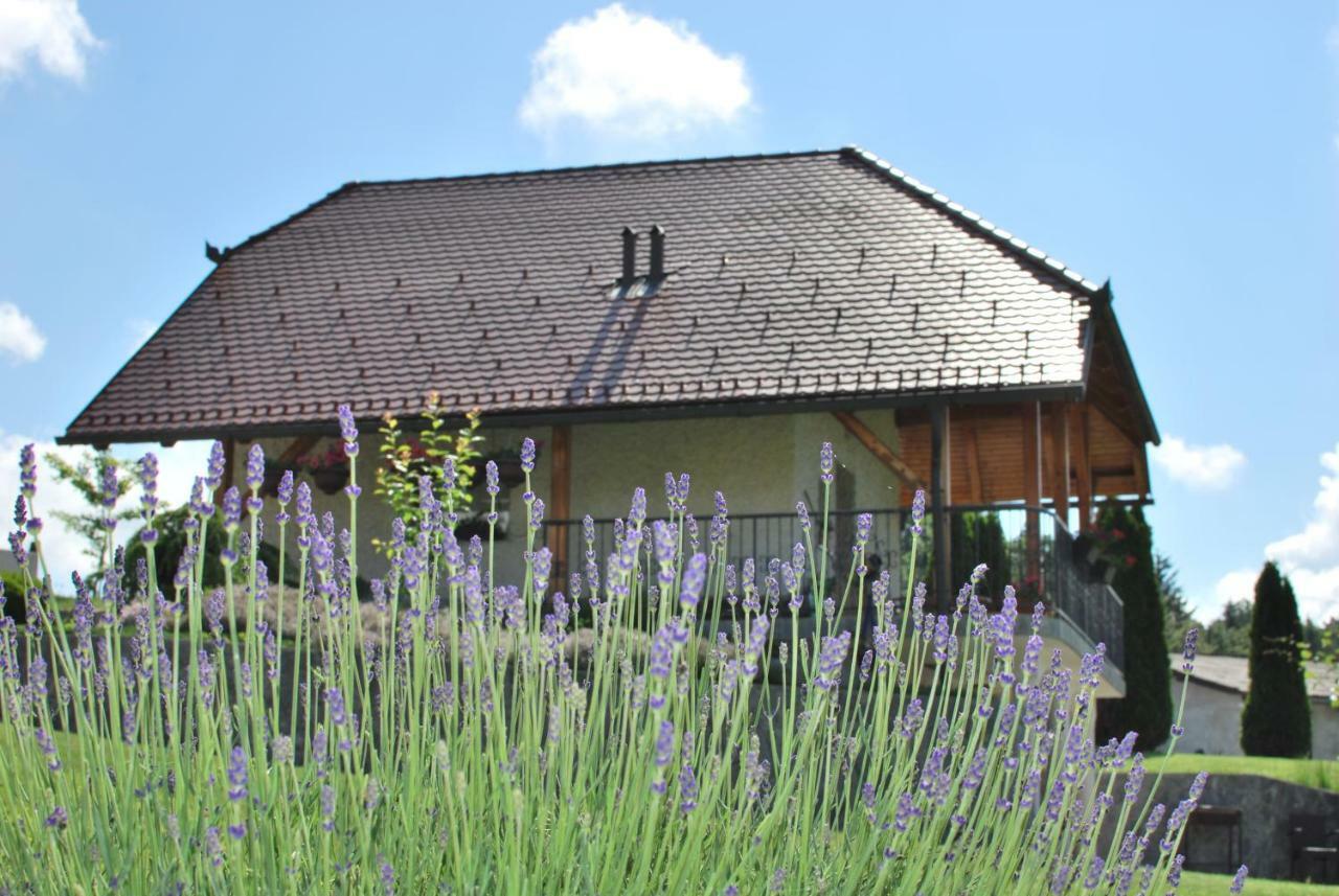 Holiday Home Dobrotin Vojnik المظهر الخارجي الصورة