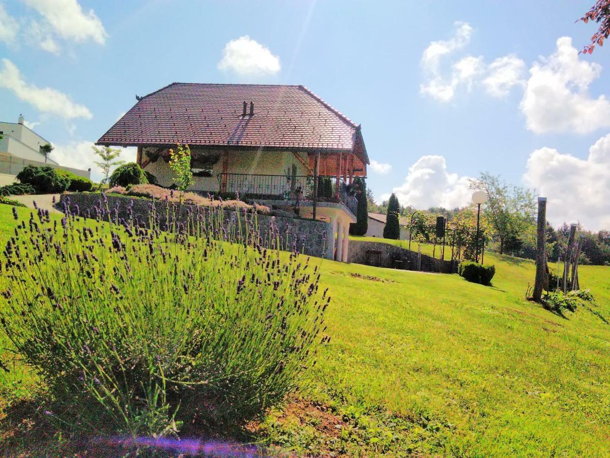 Holiday Home Dobrotin Vojnik المظهر الخارجي الصورة